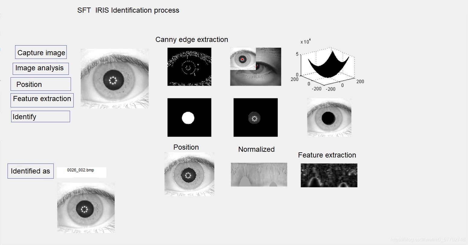 iris recognition procedure