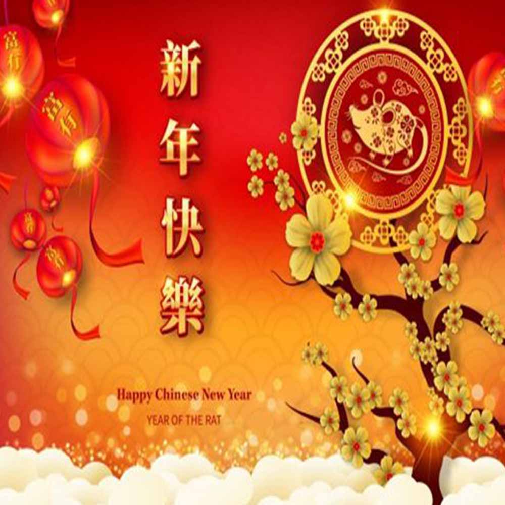 SFT Biometric PDA Factory Lunar Spring Festival Holiday Notice 